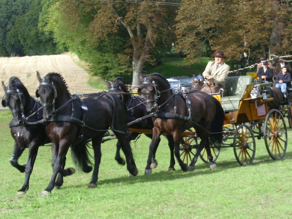 Abfahren vor der Dressur