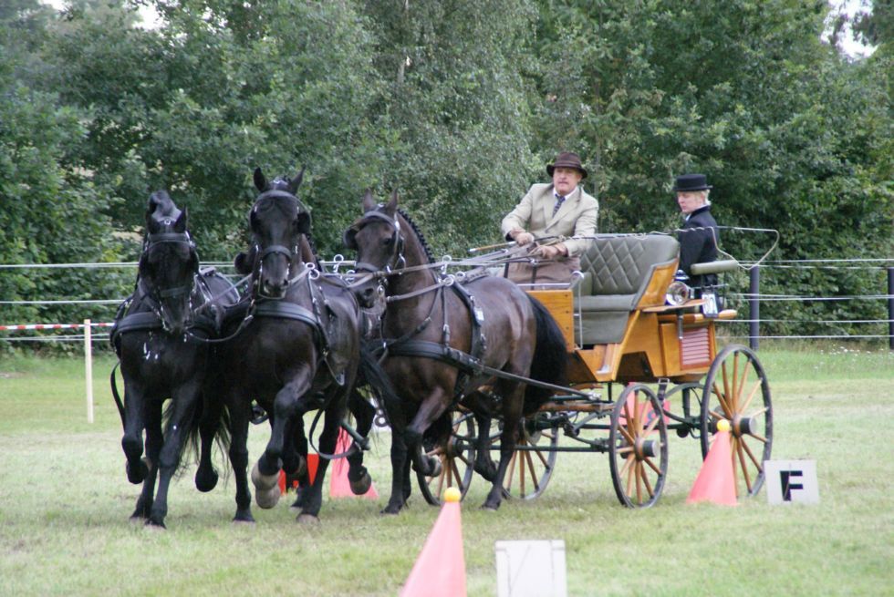 Hindernisfahren