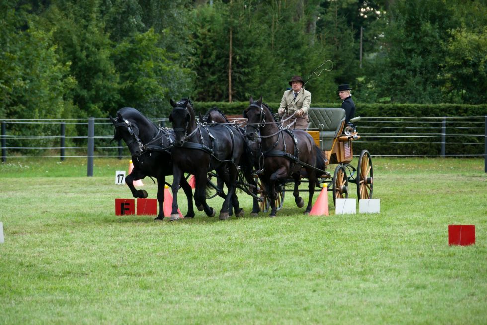 Hindernisfahren