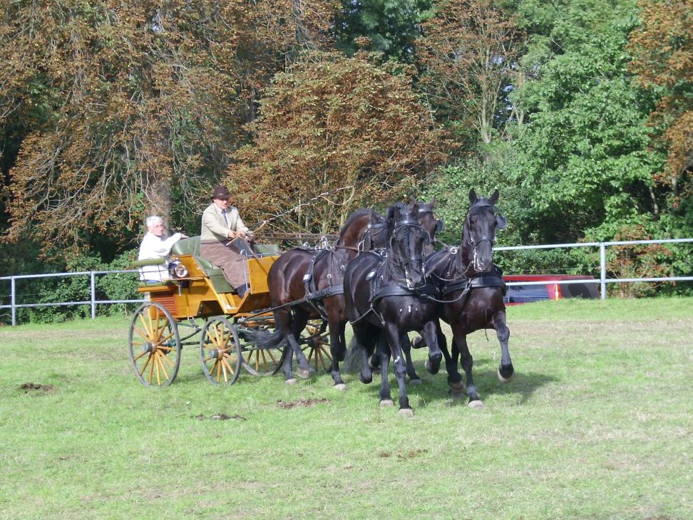 Abfahren vor der Dressur