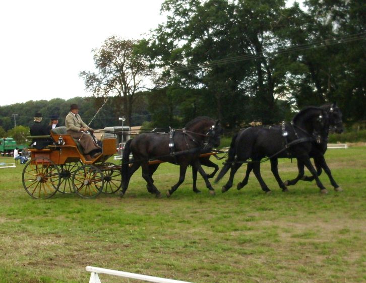 FM3 Mitteltrapp durch die ganze Bahn wechseln